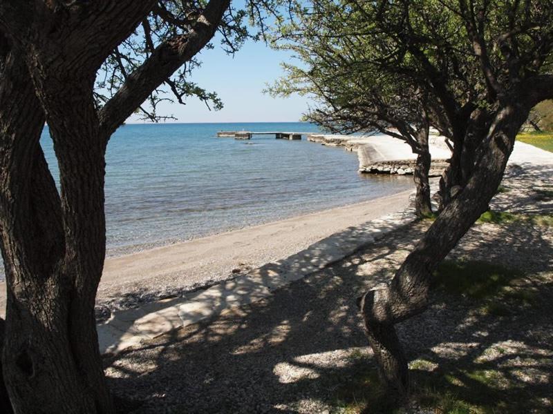Apartments & Room Masa Starigrad Paklenica Δωμάτιο φωτογραφία