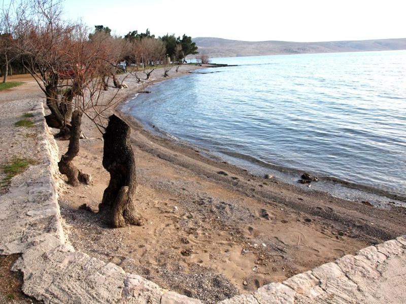 Apartments & Room Masa Starigrad Paklenica Δωμάτιο φωτογραφία